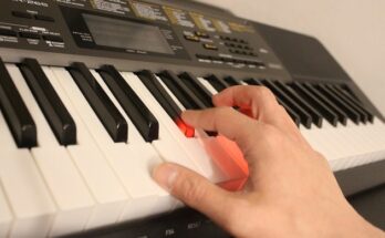 Casio LK 265 Keyboard