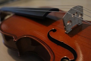 Geige / Violine