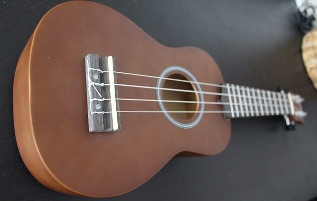 Einsteiger Ukulele für Anfänger