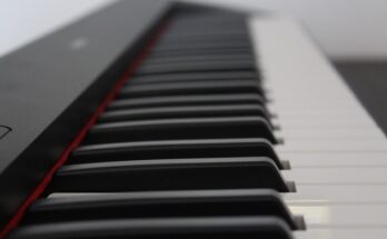 Keyboard für Einsteiger