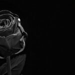 NoName_13