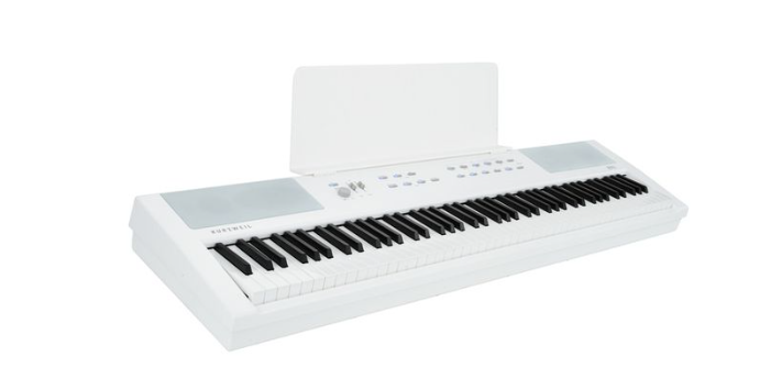 Kurzweil KaE1-WH